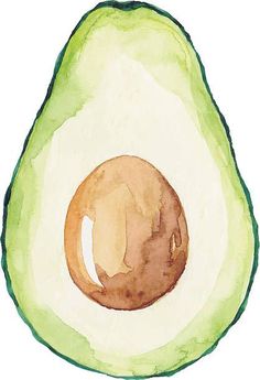 an avocado cut in half on a white background with watercolor and ink