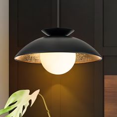 a black lamp hanging over a table next to a plant