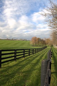 a black fence in the middle of a grassy field