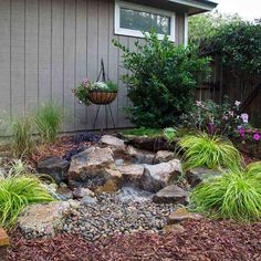 a garden with rocks and plants in it