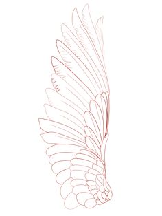 a drawing of a bird's tail with long feathers on it, in red and white