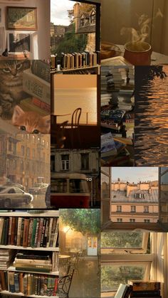 there are many different pictures in this collage that include books, water and buildings