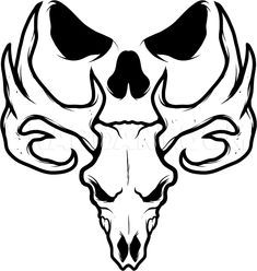 an animal skull with large horns on it's head and two smaller horns in the middle