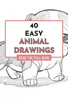 an animal drawing with the words 40 easy animal drawings read the full blog on it