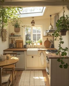 a kitchen filled with lots of furniture and plants