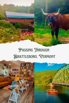 Four photo collage; a red covered bridge over a creek and pink flowers in the foreground, a large brown ox staring at the camera, a coffeeshop with a modern leather sofa and shelves of books, a small steam boat on the water going under a green bridge Vermont Travel, Brattleboro Vermont, Old Train Station, Old Train, River Art, Brewed Coffee, Covered Bridge, Brick Facade, Over The River