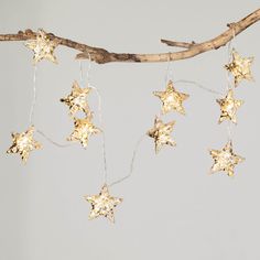 some gold stars hanging from a tree branch