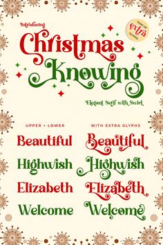 a christmas poster with different types of lettering