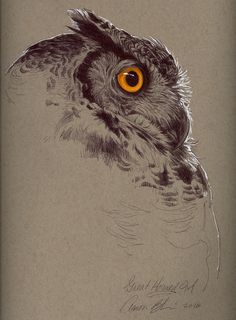 an owl with orange eyes is shown in this drawing