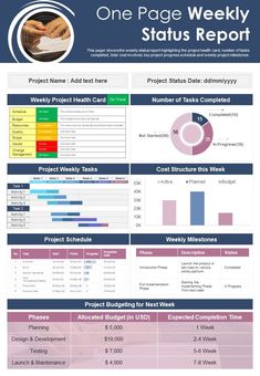 the one page weekly status report is shown in blue and pink colors, with information about each