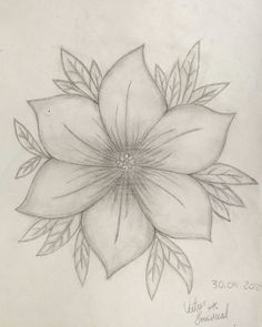 a pencil drawing of a flower with leaves on it's petals and the words, 30