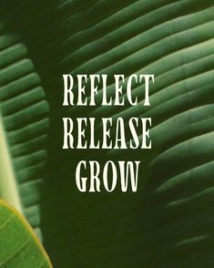 the words reflect release and grow are overlaid by green leaves