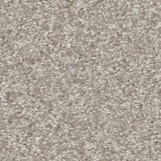 a beige carpet textured with white and gray speckles, as well as an area rug