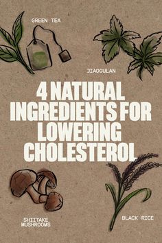 Having too much cholesterol can happen because of multiple things but may lead to heart and health issues. To avoid issues from high cholesterol, it's important to find a balance by staying healthy to avoid complications from high cholesterol. Here's a list of natural ingredients that could help you! Home Remedies For Allergies, Nose Picking, Lower Ldl Cholesterol, Natural Remedies For Migraines, Health Guru, Lower Your Cholesterol, Dry Skin Remedies