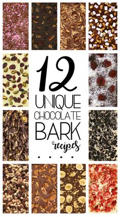 twelve unique chocolate barks with the words 12 unique chocolate bark recipes on top and below