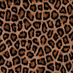 an animal print pattern is shown in brown and black colors on the skin of a cheetah