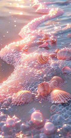 the water is full of bubbles and seashells on the beach at sunrise or sunset