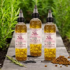 Extra Strength Rosemary + Fenugreek 3-In-1 Bundle - The Mane Attraction Herbal Hair Growth Oil, Herbal Hair Growth, Rosemary Herb, Fine Mist Spray Bottle, Grease Hairstyles, Help Hair Grow, Extension Hair, Hair Secrets, Hair Masque