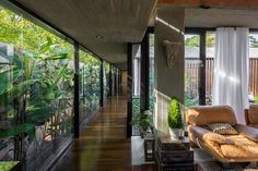 a living room filled with furniture and lots of plants on the wall next to it