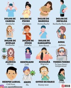 the different types of people with their names in spanish and english, including one that is also