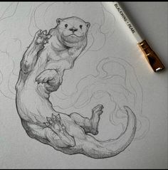 a pencil drawing of an otter on the back of its hind legs with fire coming out of it's mouth