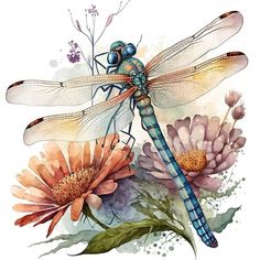 a watercolor painting of a dragonfly sitting on top of flowers