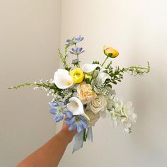 a hand holding a bouquet of flowers in it's left hand with white, yellow and blue blooms