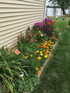 the flowers are blooming along the side of the house