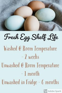 eggs are shown on top of a bed with the words fresh egg shelf life written below