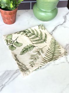 a kitchen counter with a potted plant next to it and a napkin on top