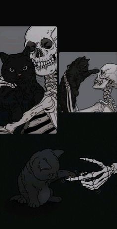 three different pictures of skeletons and cats with one cat sitting on the other's back