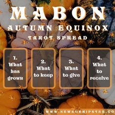 an autumn equinox tarot spread with pumpkins and gourds