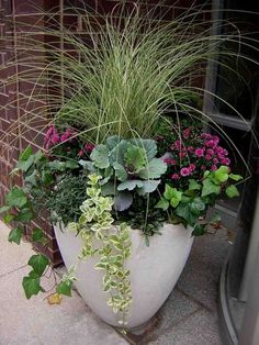 a planter filled with lots of different types of plants