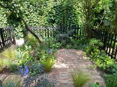 a brick walkway surrounded by plants and trees