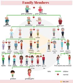 a family tree is shown with people in different colors and sizes, including the names