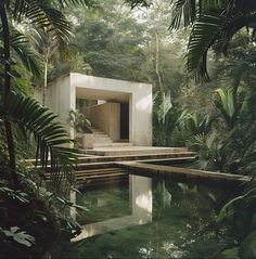 a house in the middle of a forest with water and steps leading up to it