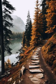 a path leading to a lake surrounded by trees