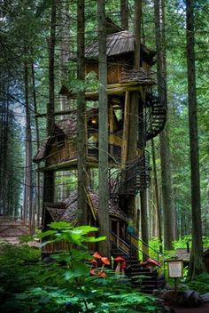 a tree house in the middle of a forest