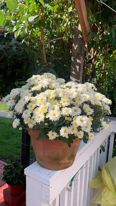 a large pot filled with white flowers sitting on top of a wooden bench next to a tree