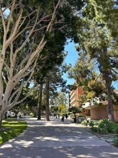 the sidewalk is lined with trees and plants