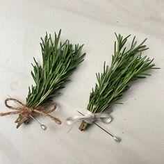 two rosemary sprigs tied together with twine