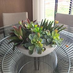 a glass table with some plants on it