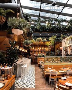 the inside of a restaurant with tables, chairs and plants hanging from the ceiling above