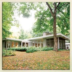 the house is surrounded by trees and leaves