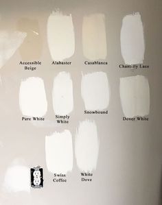 white paint swatches on the wall with black and white words below them, all labeled in different colors