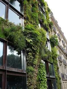 a very tall building covered in lots of green plants next to it's windows