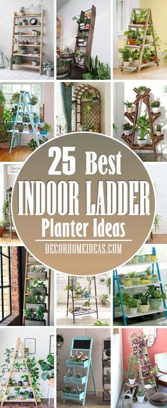 25 best indoor ladder planter ideas that are easy to make and great for any space in your home