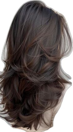 Modern Layered Haircuts, Concert Hair, Layered Haircuts For Long Hair, Interview Hairstyles, Preppy Hairstyles, Long Face Shapes, Hair Inspiration Long, Hairstyles For Layered Hair