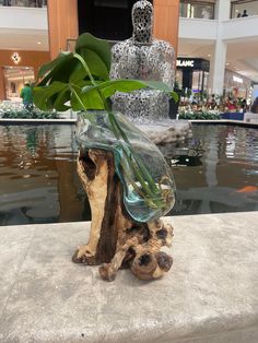 a glass vase filled with water and a plant on top of a stone block in front of a fountain