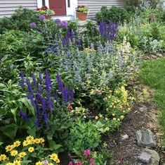 an assortment of flowers in front of a house